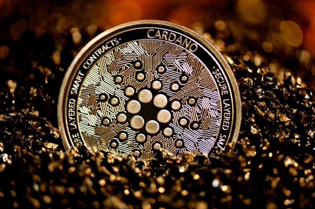 silver and black round coin
