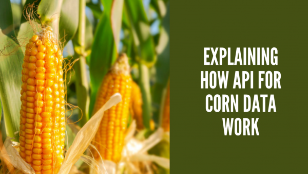 Corn Mar 2024