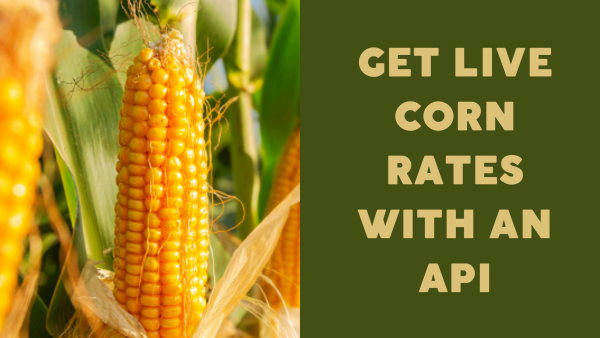 Corn May 2024