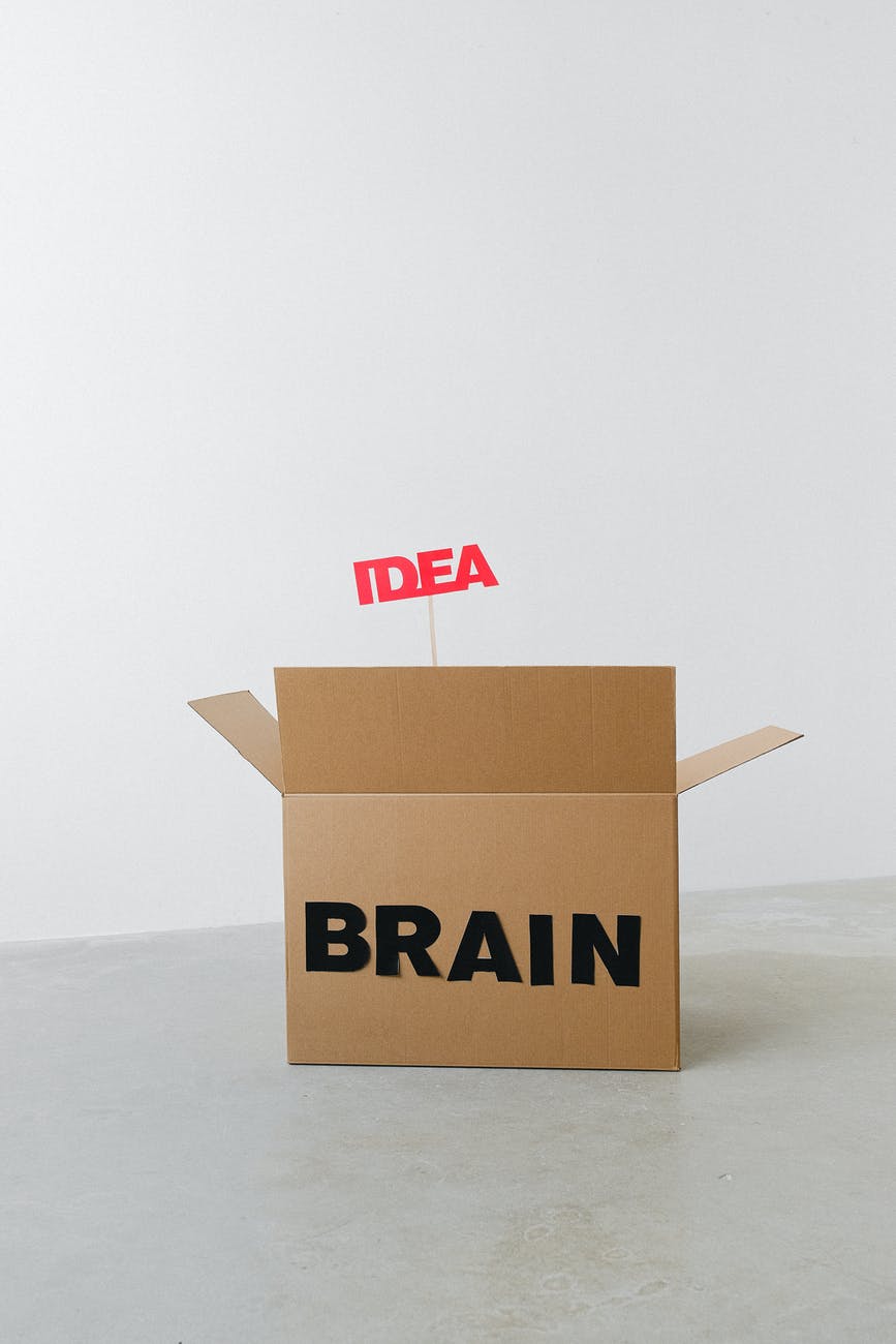 cardboard box with brain and idea inscriptions