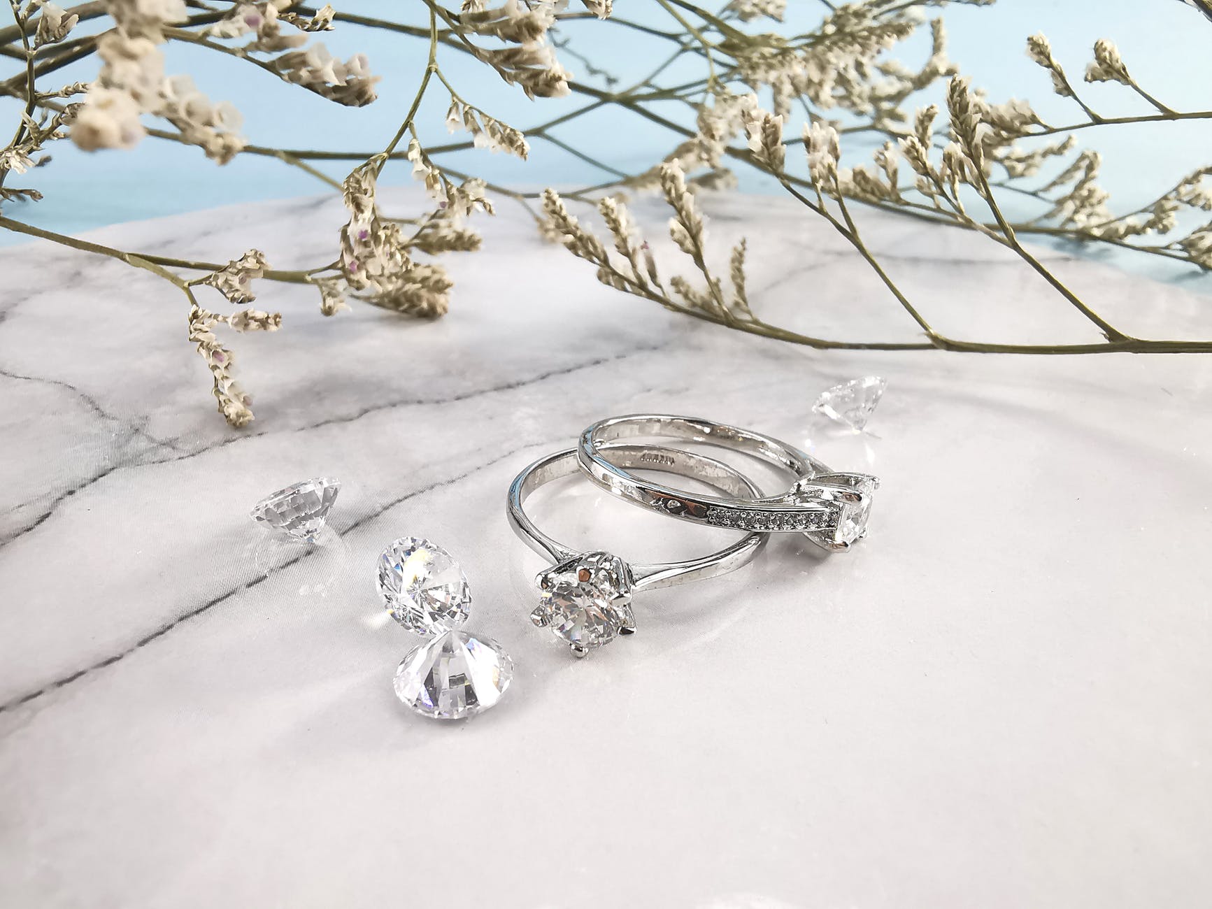 rings and gems near plant twigs