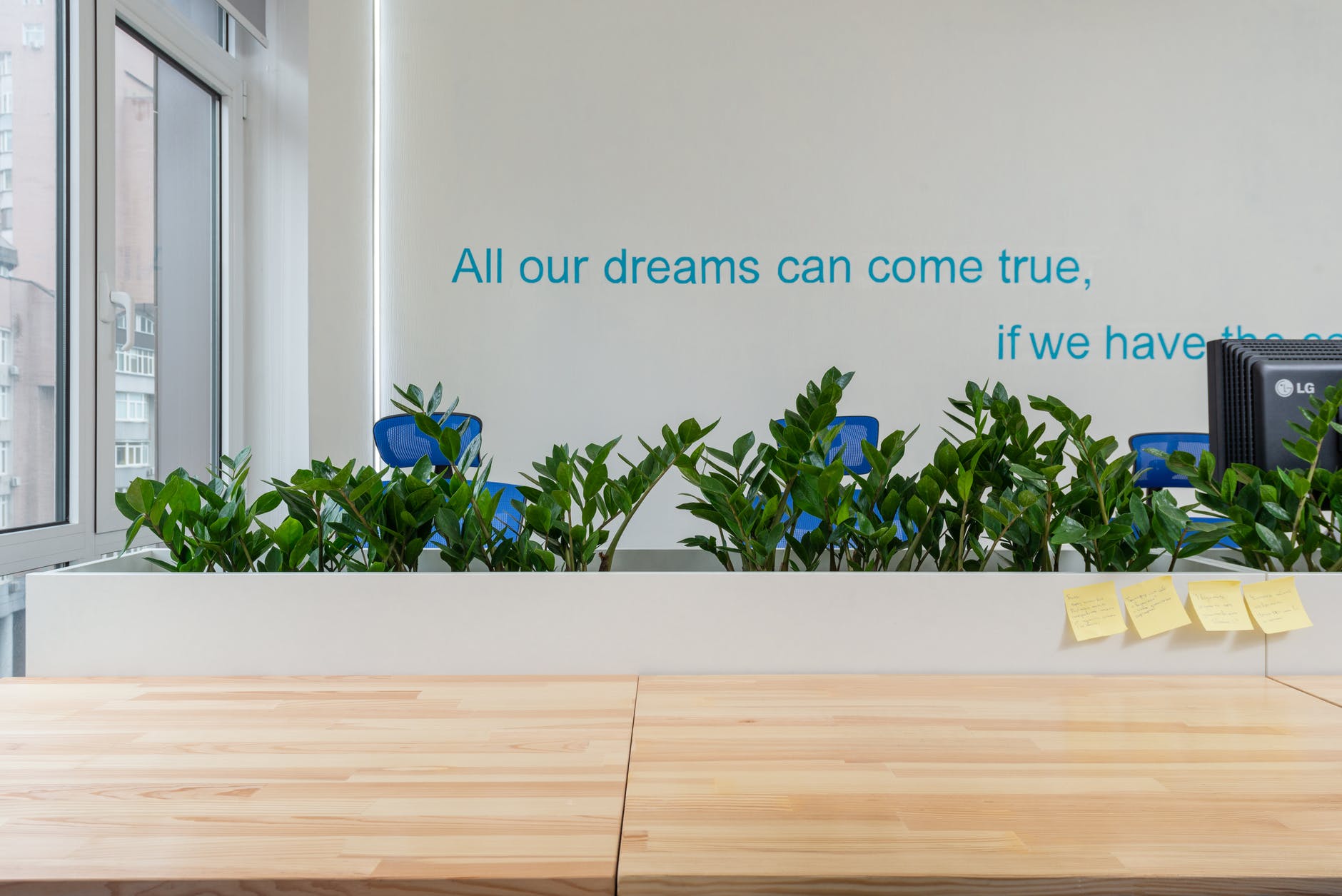 table near plants in boardroom