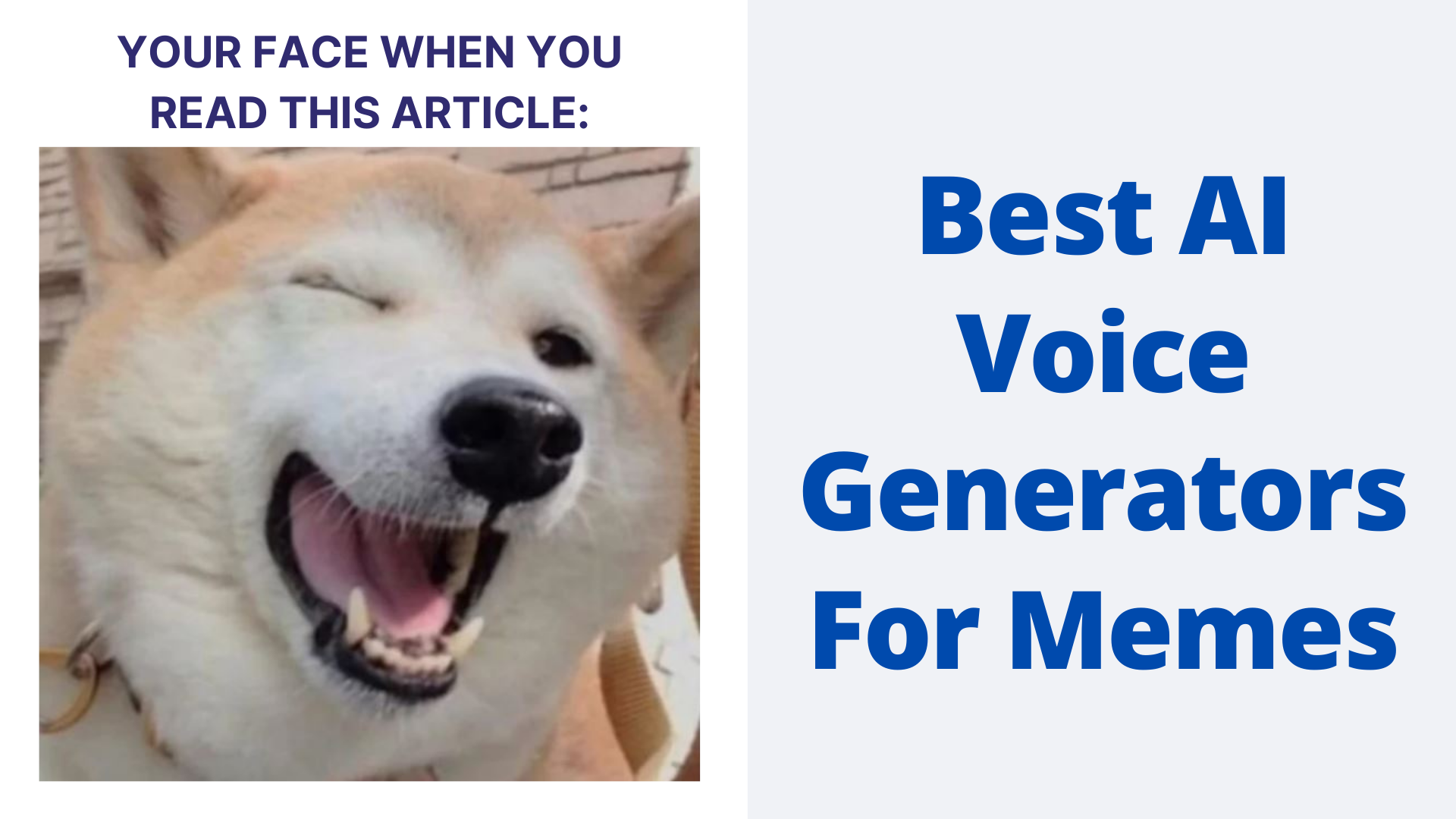 Best AI Voice Generator For Memes