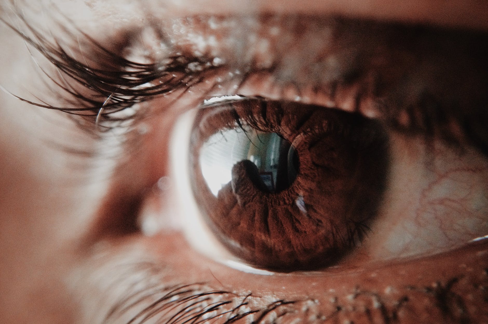 brown human eye
