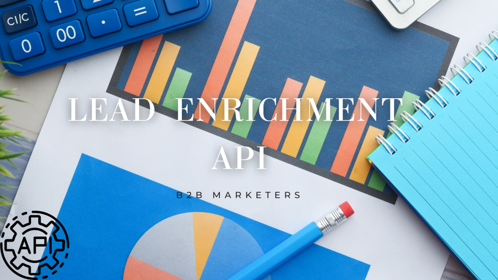 A Beginner’s Guide To A Lead Enrichment API For B2B Marketers ...