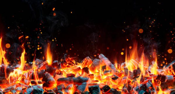Coal Prices API