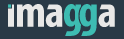 Image Classification API