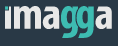 Image Classification API