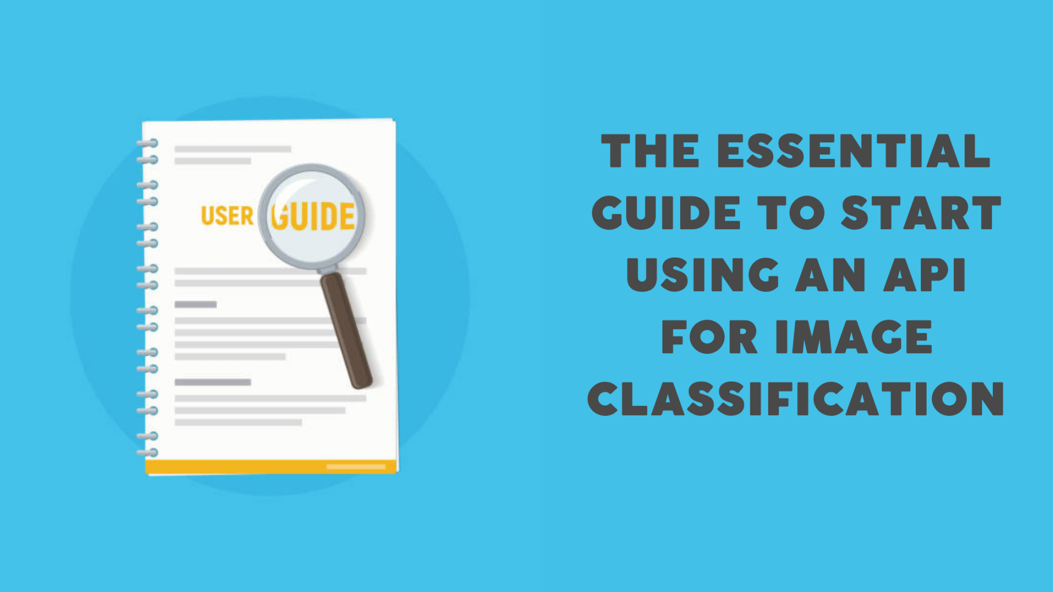 The Essential Guide To Start Using An API For Image Classification ...