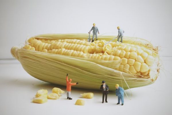 Corn Mar 2024