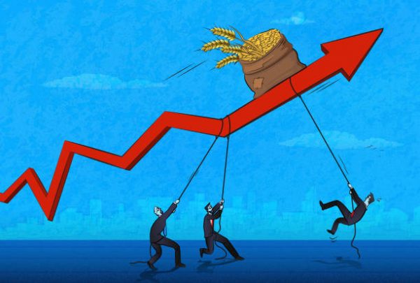 Rough Rice Futures Trading