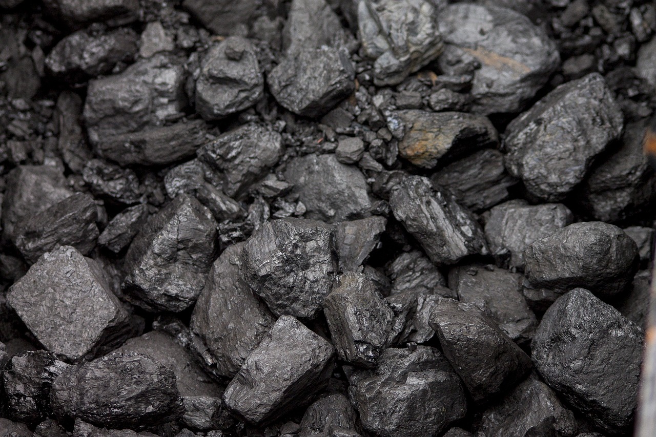 coal, cabbage, burned