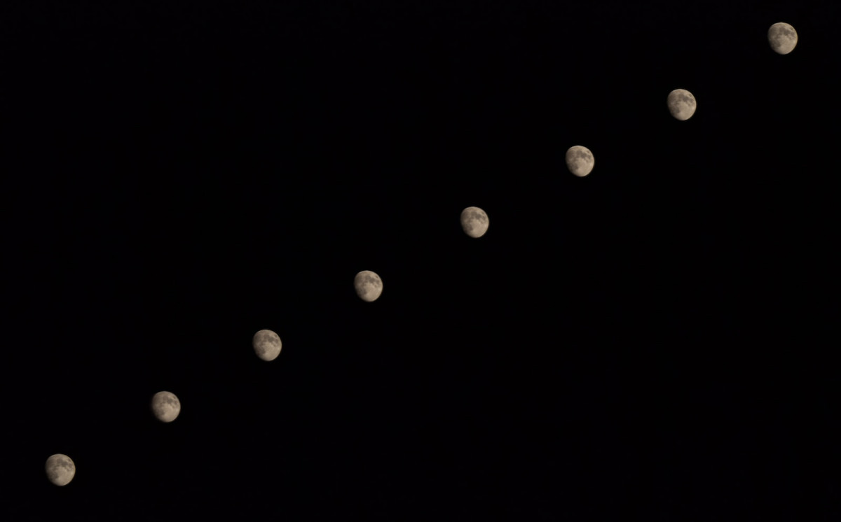 white and black round lights