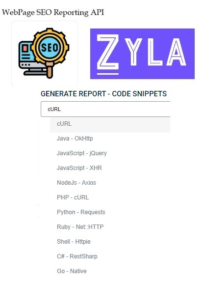 SEO Performance API - Available  Code snippets formates