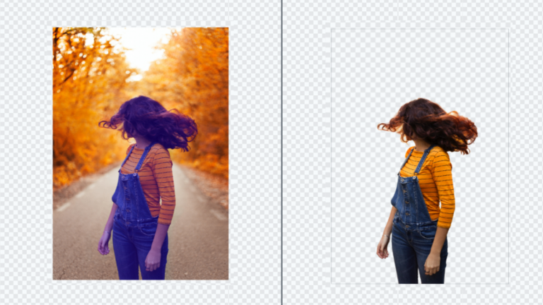 Developer Background Remove How To Transform Visuals Using A Background Remover API ...
