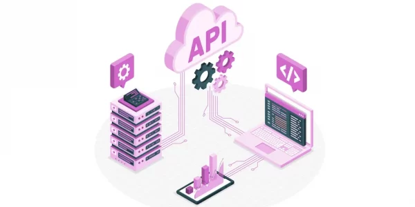 API Status Checking