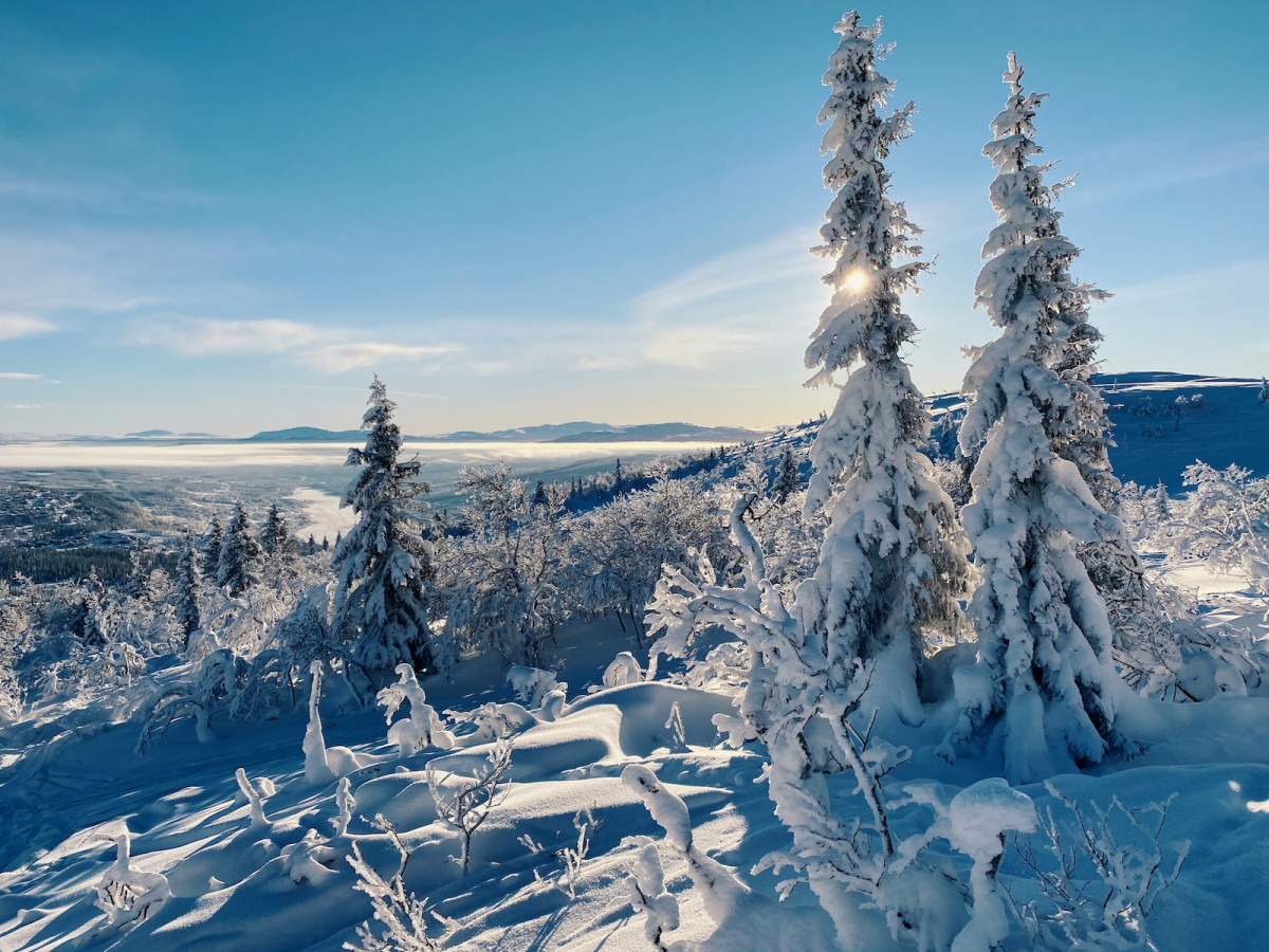 snow covered trees and mountains during . Ski Weather API