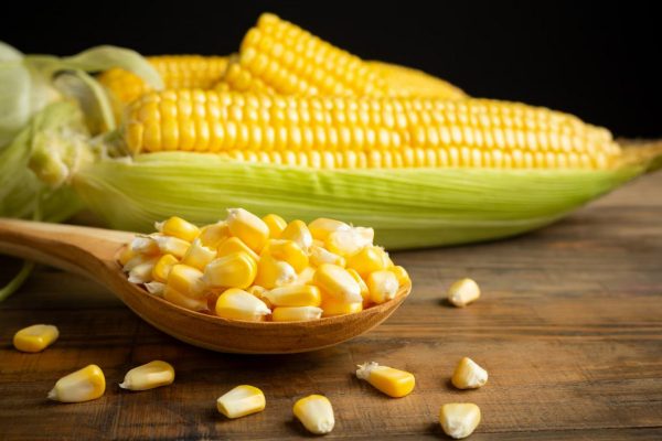 Corn May 2024