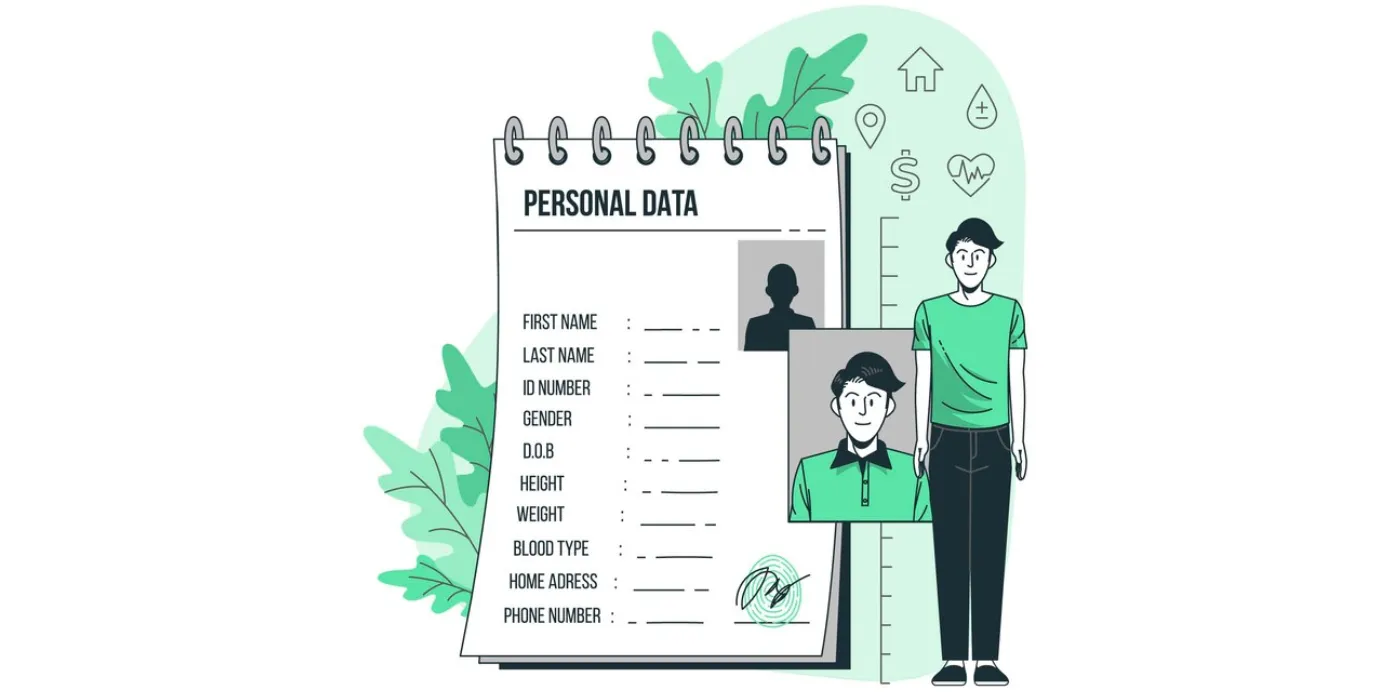 Try The Best Profile Data APIs Of 2023