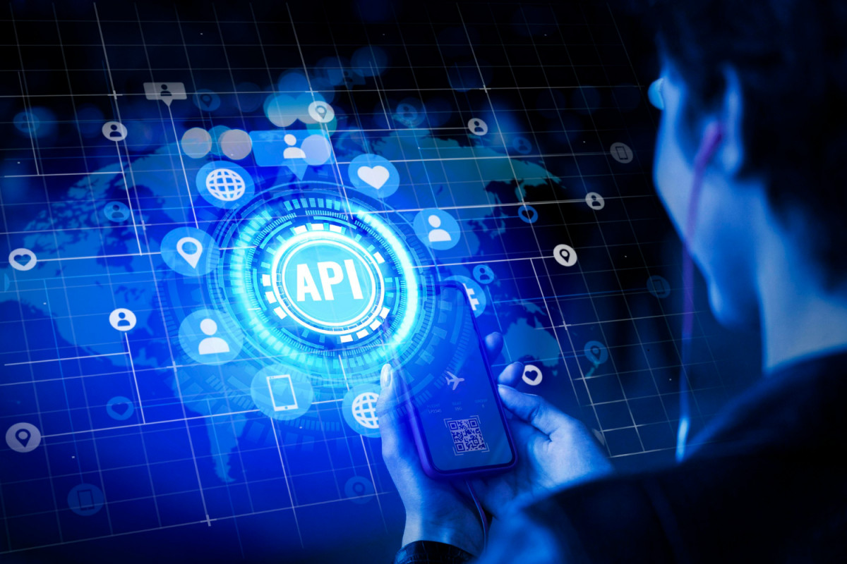 Phone Number Validation API