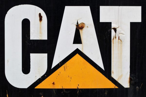 Brand Logos API in action