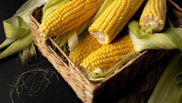 Corn May 2024