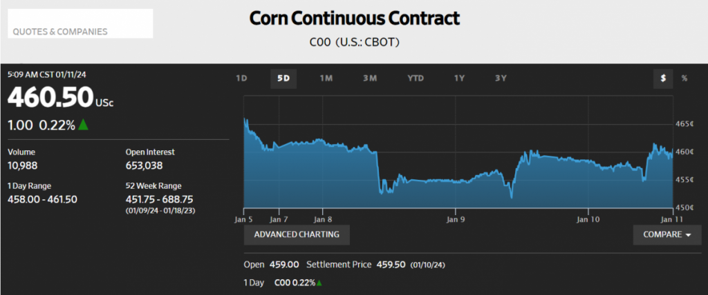 Corn Mar 2024 in action